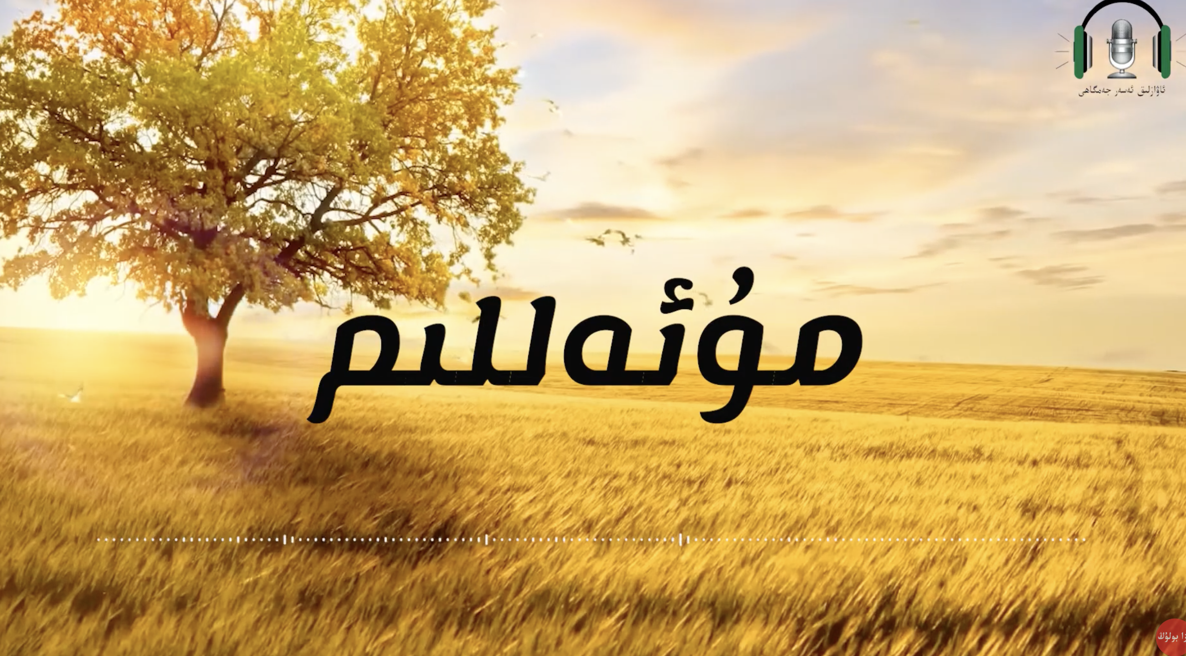 دادام بار
