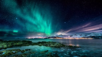 iStock-1130795690