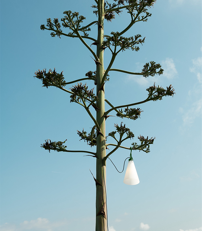 wd-furniture-lighting-prod-3-3 Cچىراغلار - Image 4