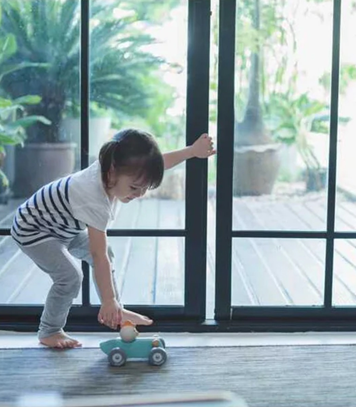 wd-furniture-toys-prod-1-4 Chicken Racing Car - Image 5