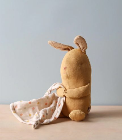 ئۇيقۇ قويانى