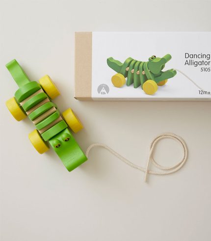 ئۇسسۇلىنىۋاتقان تىمساھ